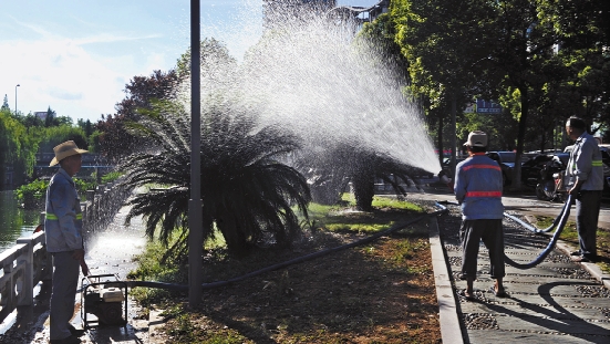 園林養(yǎng)護(hù)四